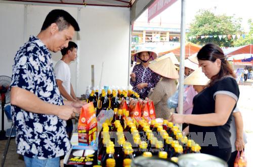 Thị trường bán lẻ trước sức ép của doanh nghiệp ngoại - Bài 2 ảnh 2